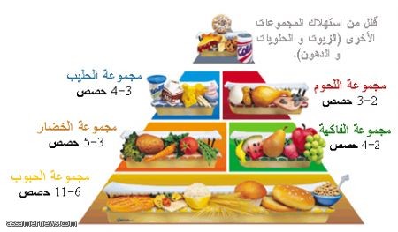 دراسة.. النظام الغذائي الغني بالماغنسيوم قد يقلل خطر الجلطة الدماغية