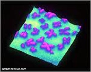 علماء أمريكيون ينجحون في تصنيع خلايا مخ بشري مختبرياً 