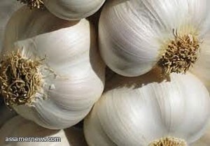 "الثوم" يحتوى على مضادات حيوية طبيعية 