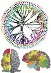 مؤتمر طبي يكشف عن علاج مرضى الإصابات العصبية بالمحاكاة البيئية 
