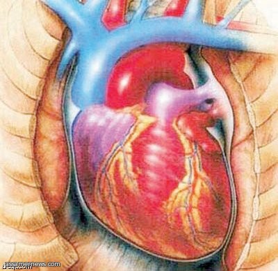 قلب لاسلكي يعمل بمضخات يجعل المرضى يستغنون عن عمليات الاستزراع